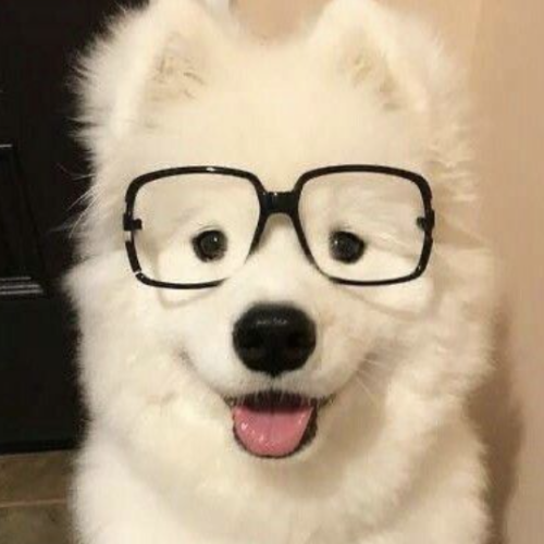 Dog with Glasses 1